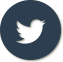 Share via Twitter